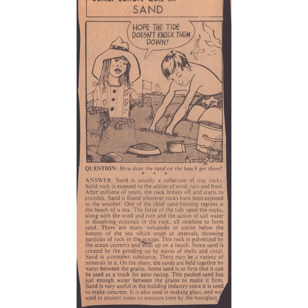 12 Vintage Junior Editors Quiz Newspaper Clippings Science Nature Ephemera Lot - Picture 13 of 14